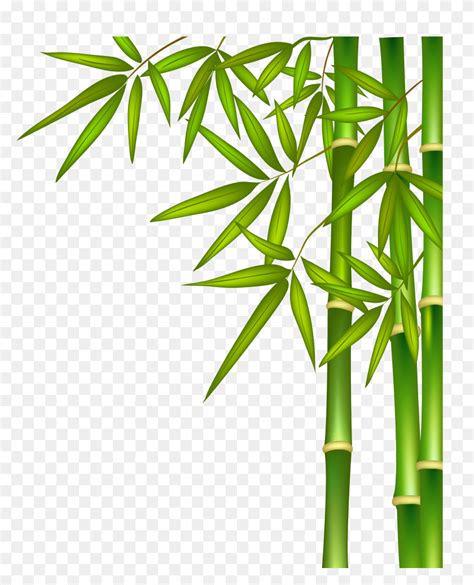 Bamboo Png Images Free Download - Bamboo Border Clipart - FlyClipart