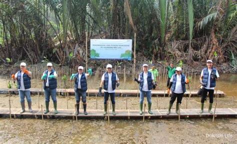 BRI Life Tanam MAngrove Untuk Kurangi Emisi Karbon Di Kawasan Ekowisata