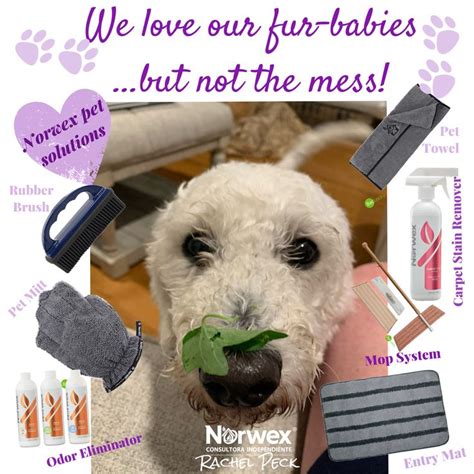 Pet Solutions Norwex Norwex Microfiber Norwex Party