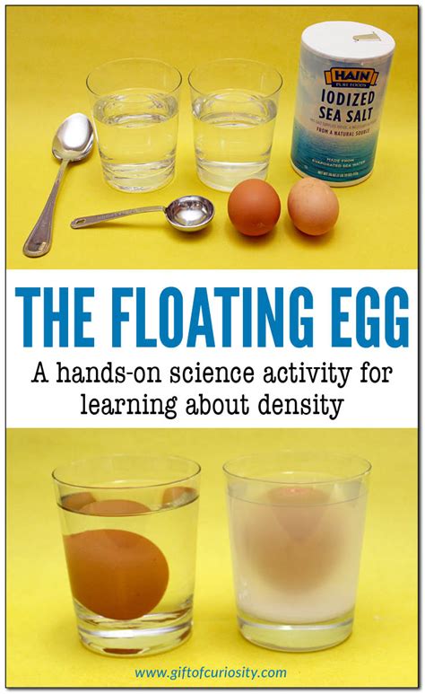 Salt Water Egg Experiment