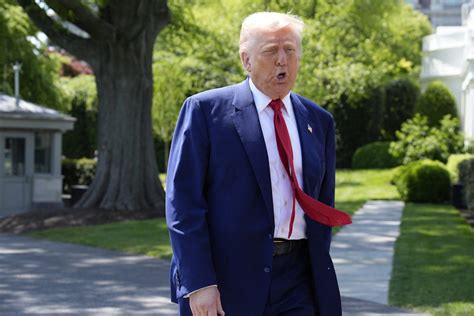 CNN Fact Checker Flags More Trump Lies