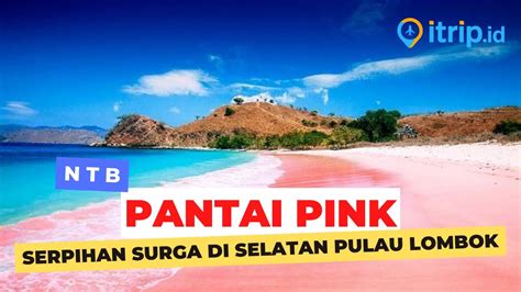 Pantai Pink Lombok Serpihan Surga Yang Jatuh Ke Bumi Youtube