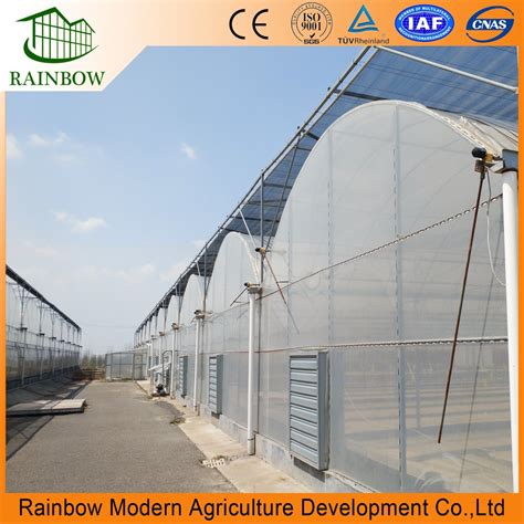 Multi Span Tunnel Plastic Film Greenhouse With Hydroponics System