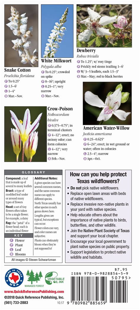 Wildflowers Of North Texas Quick Reference Publishing Wholesale