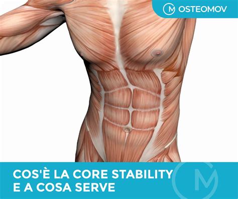 Core Stability Che Cos Esercizi Benefici E Come Allenarsi