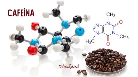 O Efeito Da Cafe Na No Organismo Caf S Do Brasil Club