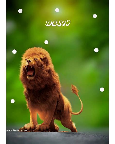 Dosti Lion Cb Editing Background Free