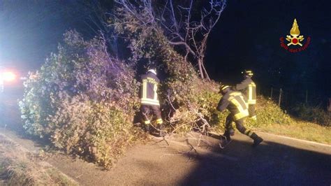 Maltempo Nelle Marche Sono Gli Interventi Dei Vigili Del Fuoco A