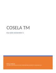 Cosela Assignment 2 Docx COSELA TM RGA 6000 ASSIGNMENT 2 Ebinyo