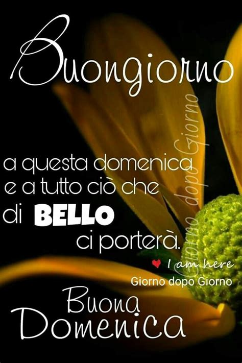 Buona Domenica Belle Immagini Da Condividere Lebelleimmagini It