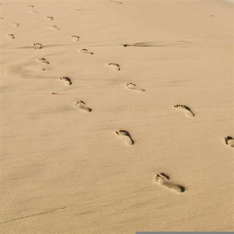 Albums 99 Pictures Footprints In The Sand Images Free Superb