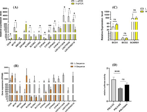 QPCR Validation Of Candidate DEGs And Effect Of SNP On CD36 Promoter