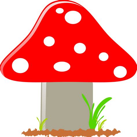 Fly Agaric Mushroom Toxic Poisonous Red Dots Big Mushroom