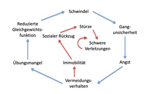 Gleichgewicht Karteikarten Quizlet