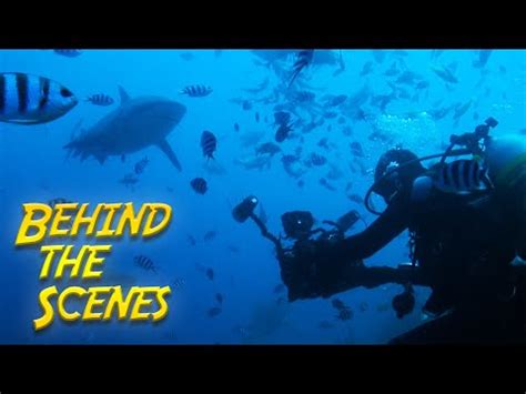 SECRETS OF THE SEA – Behind the Scenes – Vita Aquatica