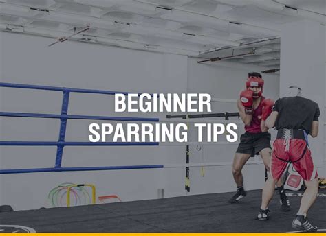 Beginner Sparring Tips - Fight Quality