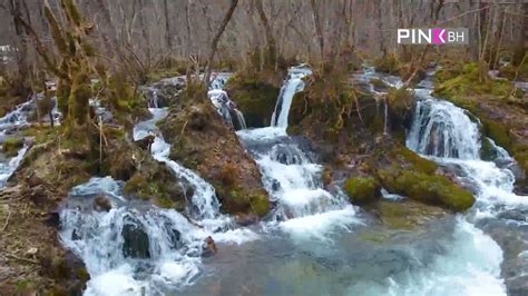 Putujmo Pri Ajmo Pjevajmo Kratka Estitka Za Bajram Tuco