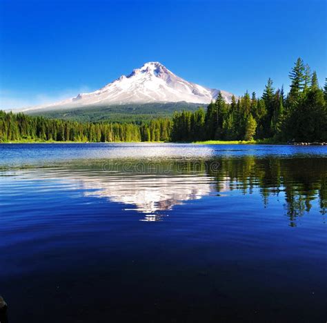 A Reflex O Da Capa Da Montagem No Lago Trillium Imagem De Stock