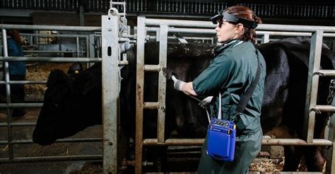 Easi Scan Bovine Ultrasound Scanner Imv Imaging