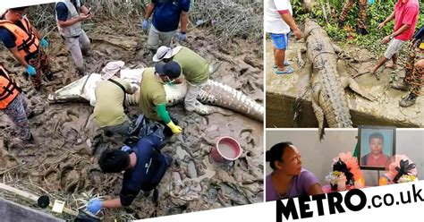 Boys Remains Found Inside Crocodile After It Dragged Him Underwater