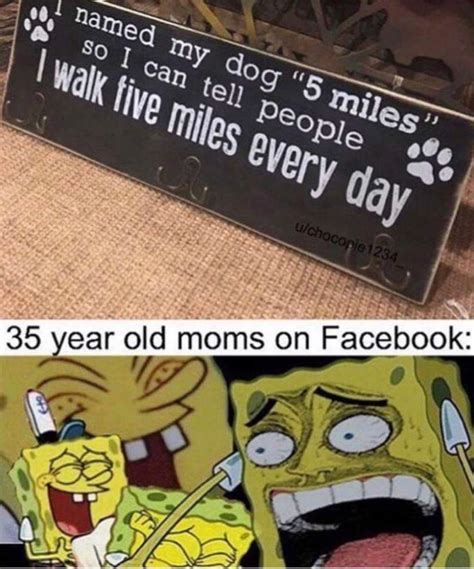 Facebook Memes Funny