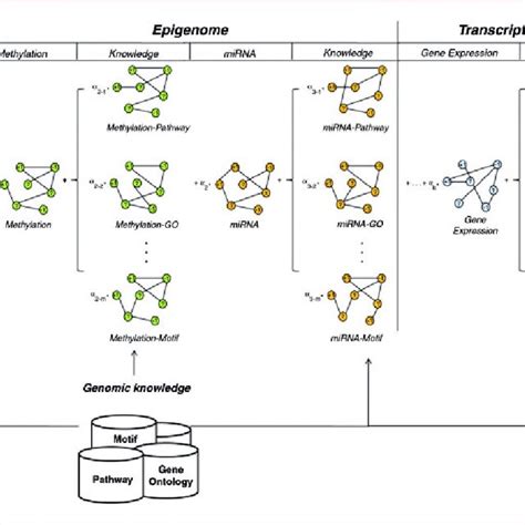 Schematic Overview Of Integration With Multi Omics Data And Genomic