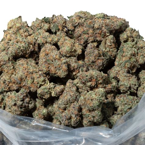 Buy Tangerine Dream Strain Free Edibles Get Kush Online Dispensary