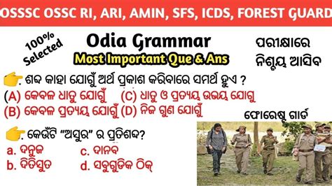 Odia Grammar Gk Forest Guard Gk Odia Grammar Question Osssc Gk Dolamanisir Youtube