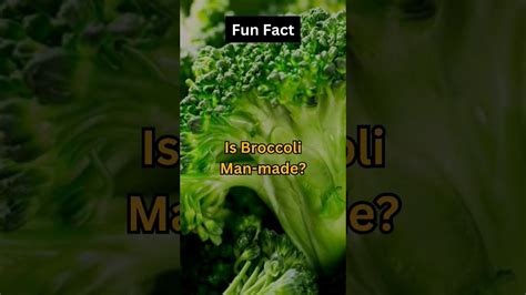 Is Broccoli Man Made Youtube