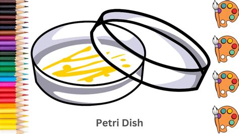 petri dish sketch art  paint step  step tutorial pencil