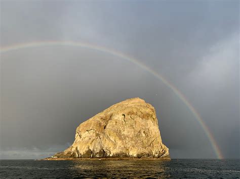 Preserving Kelp Oases Elakha Partnering On A North Coast Project