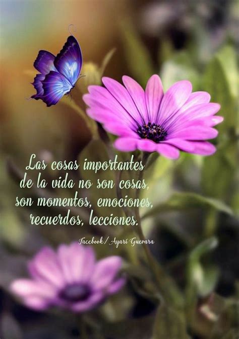 Pin De Carina Pedraza En Inspire Frases De Sabiduria Frases