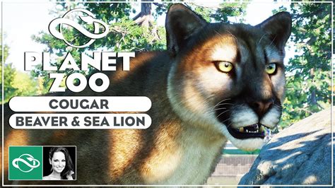 Cougar Screenshot Reveals Planet Zoo North America Animal Pack