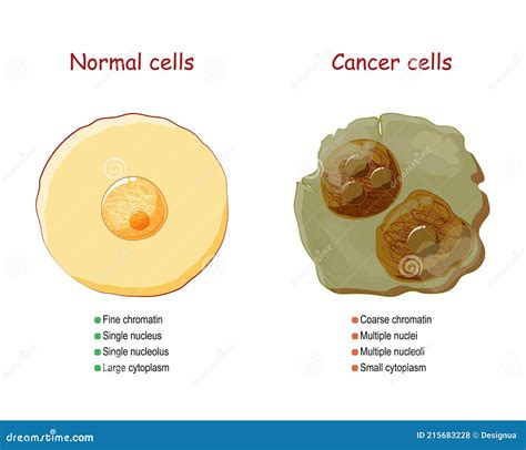 Cancer And Normal Cells Stock Image 18156703