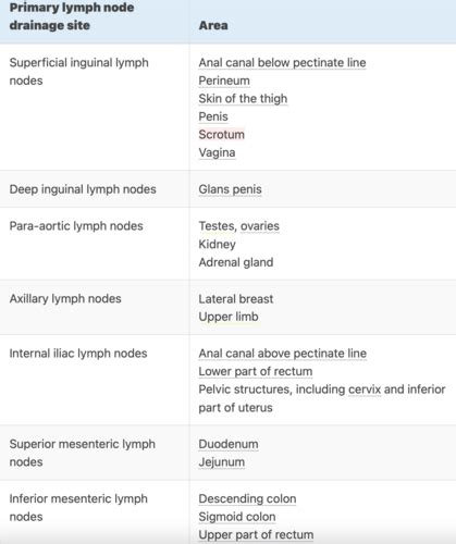 Cancer Flashcards Quizlet