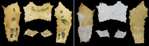 les peaux humaines tatouees  patrimoine cache