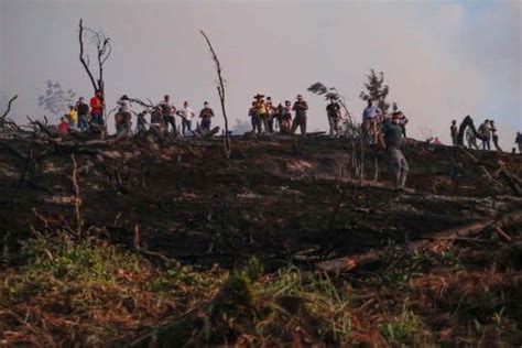 Incendios Forestales No Dan Tregua Bosque Del Ag Il Nuevamente