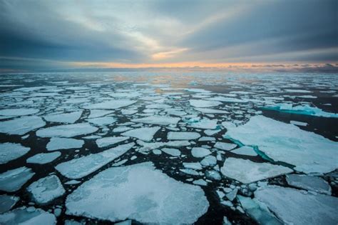 Is Arctic Sea Ice really declining? | Principia Scientific Intl.