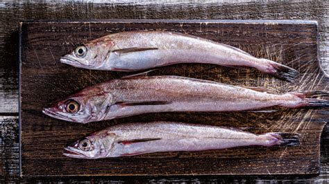 Hake The Delicate White Fish To Try If Youre Bored With Cod