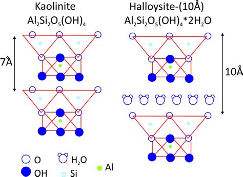 Structure Reactivity Network Solids