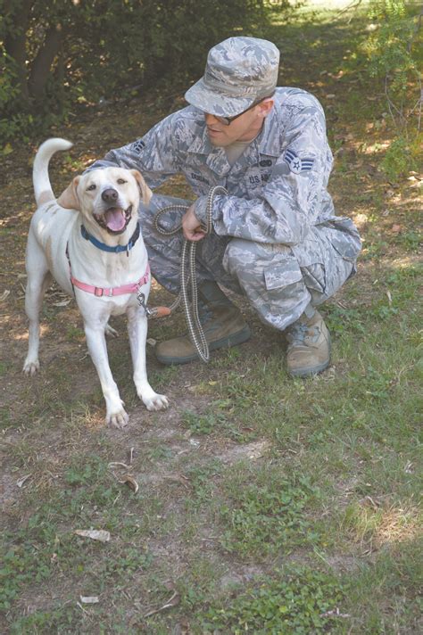 pets alive san antonio tx 8