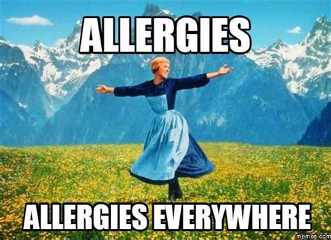 19 Struggles Anyone With Allergies Knows Too Well Black Friday Memes