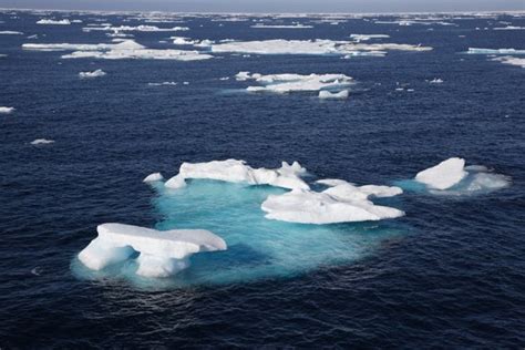 2100 он гэхэд далайн түвшин 18 метрээр нэмэгдэнэ Wwf