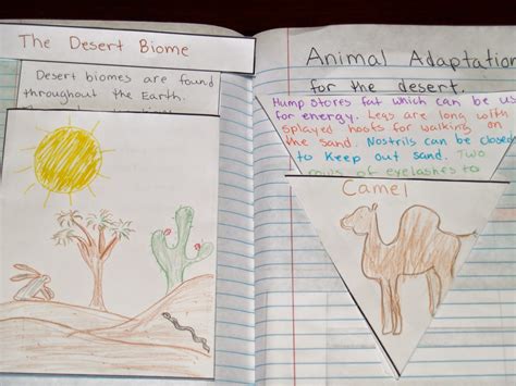 Interactive Notebook Ideas For Science Making Sure It Is Meaningful