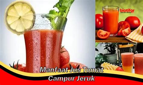 Temukan Manfaat Jus Wortel Jeruk Yang Jarang Diketahui Biotifor