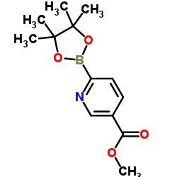 Tetrametil Dioxaborolan Il Piridin Carboxilato