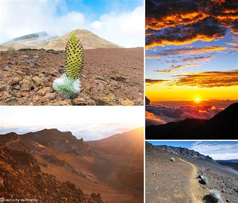 Top 5 Maui Hiking Tours - Best Hiking Tours To Take On Maui, Hawaii