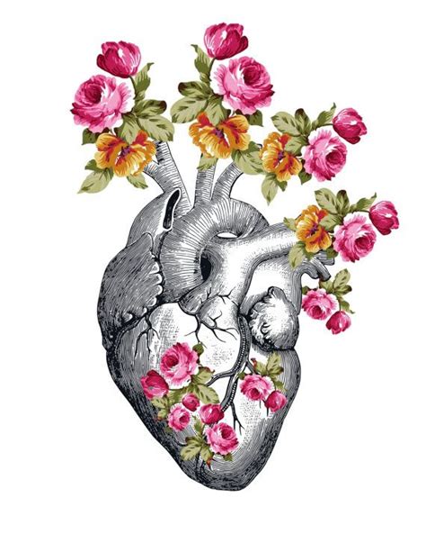 Anatomical Heart With Flowers Floral Heart Heart Art Print Anatomy