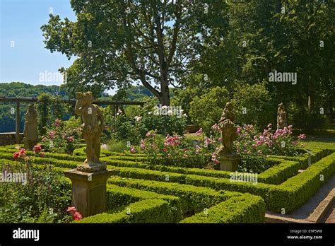 Rose garden in the castle garden in Rothenburg ob der Tauber, Bavaria, Germany Stock Photo - Alamy