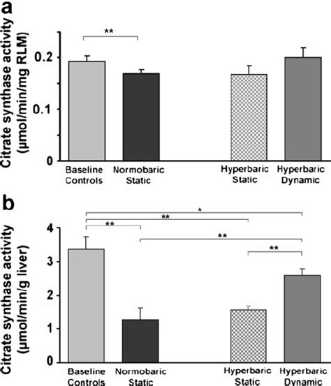 Assay of the Citrate Synthase Activity. The citrate synthase activity... | Download Scientific ...